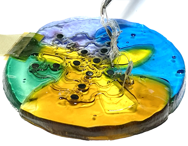Functional Hydrogel Bioengineering